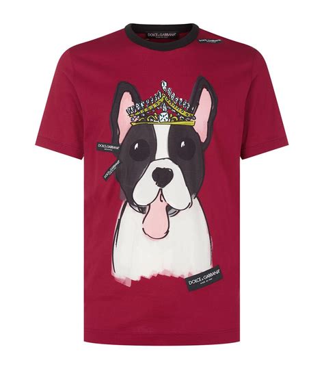 dolce gabbana t shirt dog|dolce and gabbana t shirt price.